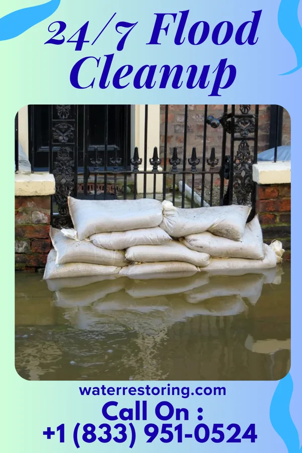 24/7 Flood Cleanup in California, KY