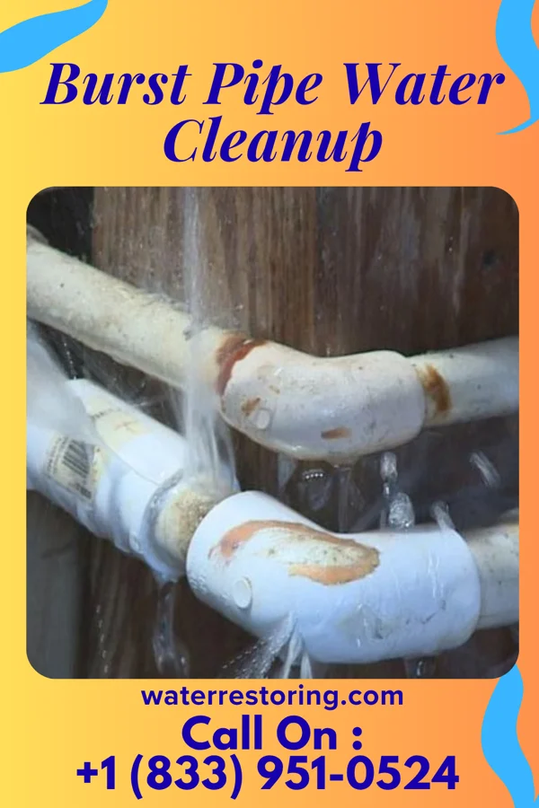 Burst Pipe Water Cleanup in California, KY