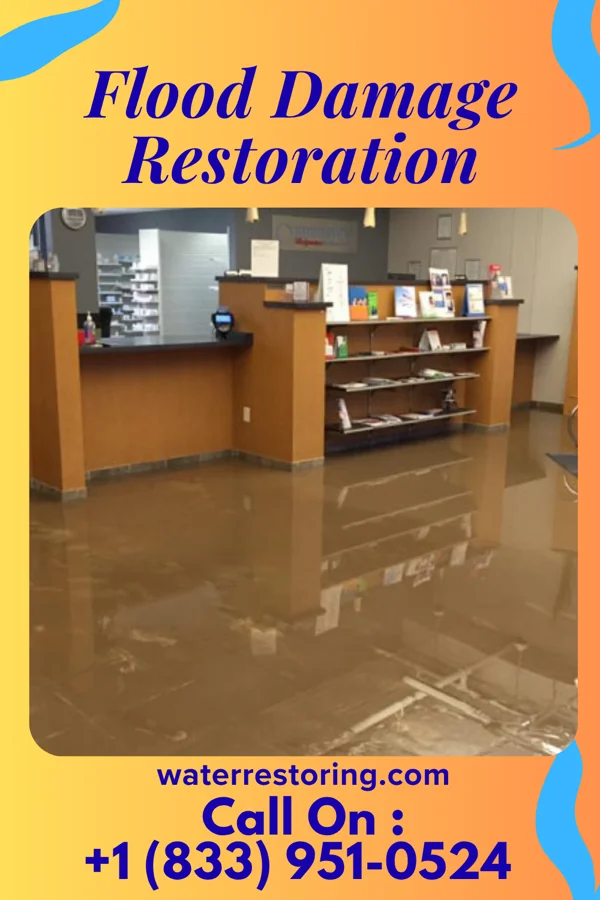 Flood Damage Restoration in California, KY