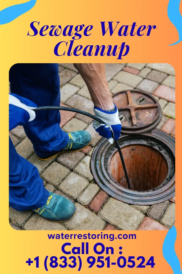 Sewage Water Cleanup in California, KY